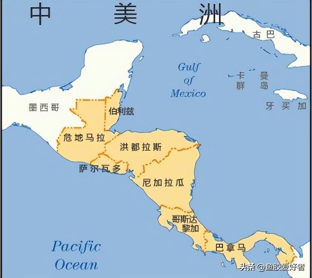 加拿大花胶什么牌子好 2025年加拿大花胶什么牌子好一点