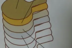 300元左右底板推荐，可以看银河、红双喜、三维和729这几个品牌图片