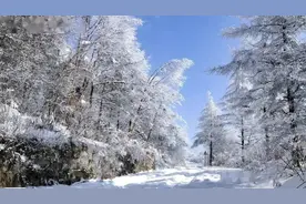 北大仓为什么要退耕还荒？辛苦开发半个世纪，如今为何不种了？图片