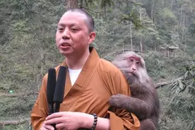 因猴走红的延参法师，被问到会不会迷失自己时，直言：我有信仰图片