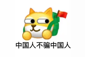 猫咪掉了的解决办法图片