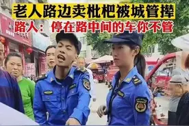 老人路边卖琵琶遭城管驱赶，其城管态度嚣张跋扈图片
