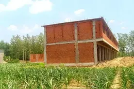 严管农村自建房，“违就拆”，翻建、遮顶都不行？图片