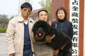 曾经4000万一只，如今白送无人要！这场“泡沫”让多数人血本无归图片