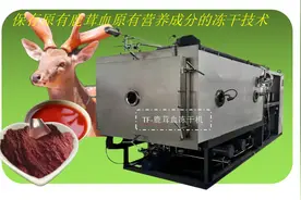 鹿茸血冻干粉加工的冻干机设备图片