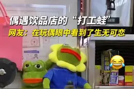 青蛙玩偶难逃打工命运 “顾客：蛙蛙工资多少？蛙蛙：我没k～”图片