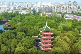 沐初夏万物长，迎接夏季美好图片