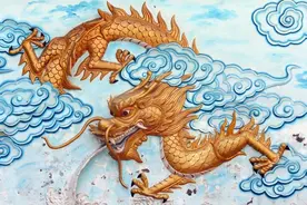 龙的前世今生图片