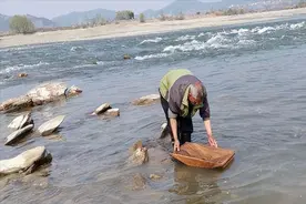 明令禁止“撸铁棒”再现，每天赚上百元，暴利之下到底有什么危险图片