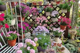 6种天然“有机肥”，家家户户都有，土里拌一拌，开花一级棒图片