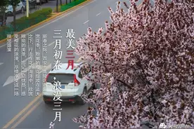 云游高陵 | 三月 高陵突然惊艳整个春天！究竟是什么“神仙”城市？图片