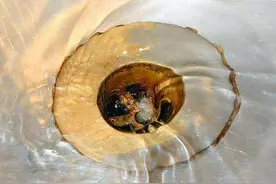 下水道堵塞怎么办？别用热水冲！教你这么做，管道畅通无阻图片