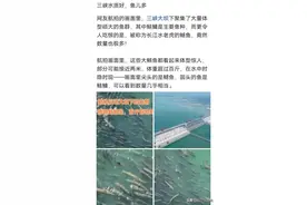 长两米、超百斤掠食性鳡鱼聚集三峡坝区 网友担心生态不平衡 专家回应来了图片