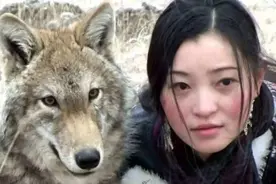 12年前，把狼当儿子养的四川妹子，10年后再次相认结局如何？图片