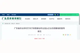 重磅！广东探索建设农业龙头企业总部基地图片