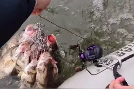 江西一男子网上晒渔获，声称能值上千元，看清渔获网友们却怒了图片