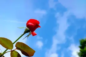 君子之交，淡如水：两个人关系再好，有三种忙不要帮，很容易吃亏图片