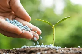 011篇|假肥料还有吗？《肥料登记管理办法》学习图片