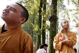 没有手机，没有电视在山中修行，他们是如何做到的？图片