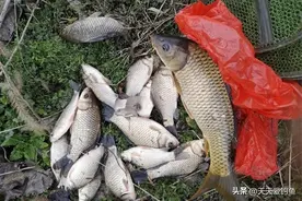 3支浮漂打天下：如何挑选野钓浮漂？牢记3个要点图片