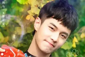 盘点何与参演的电视剧图片