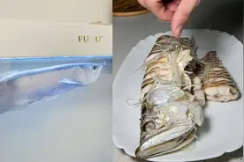 【男子养3年龙鱼意外死亡，含泪清蒸后亲自品尝，曾能卖到30万一条】图片