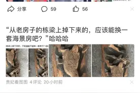 苹果13刷今日头条卡顿？图片