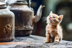 “多喝开水”！喝开水第一大国是怎样炼成的？图片