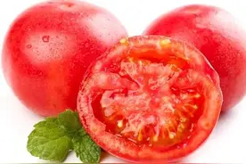 西红柿叶片卷曲皱缩，一定是病毒病吗？不尽然，这些因素也能造成图片