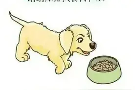 狗狗眼中的人类图片