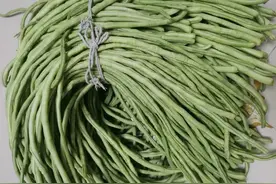 孙女到山东奶奶家过暑假，一周后打电话吵着要回来，吃够了豆橛子图片