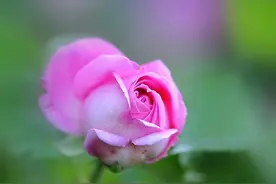 接受一些美好的事情，也接受一些不完美的现实图片