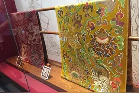 中国十大顶级面料图片