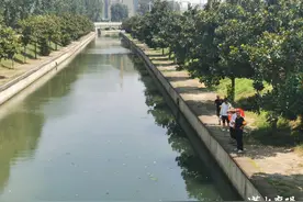 市堤防管理所：“河沟”设救护 防溺无“死角”图片