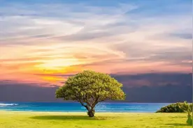 实用口语100句，每天练一练，俩月就蜕变图片