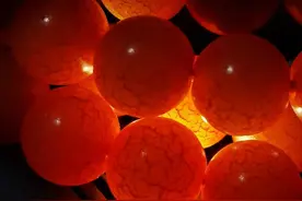 白玉菩提，菩提根，7年的变化，算不算天花板，染色别来图片