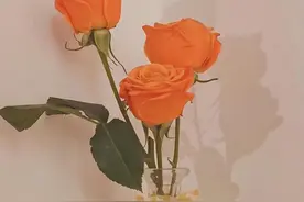 让中年男人，真正钟情的女人，只有这一个图片