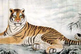 明年虎年是过林黑虎，老祖宗有啥讲究？属虎之人，为何要扎红？图片