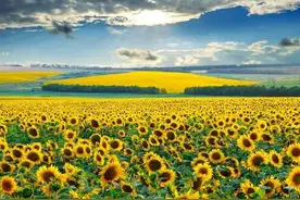 特别会说漂亮话的女性的7个特征图片