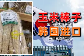 中国当柴烧的玉米芯，到韩国成为超级营养品，花40亿也要进口！图片