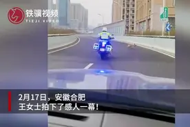 交警一路护送小狗下高架桥：都是生命，尽量帮助图片