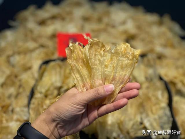 双背胶和黄花筒胶哪个好 双背胶和黄花筒胶哪个好一点