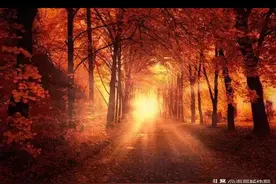 女儿十年前车祸变成植物人，夫妻两口子细心照料，终于苏醒图片