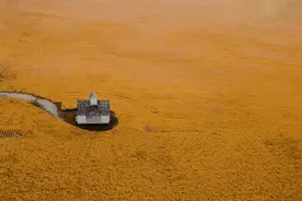 现实版“农夫与蛇”让我顿悟，什么才是高级的善良图片