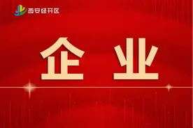 经开区企业快讯丨陕汽首批20台纯电动牵引车成功交付客户图片