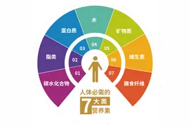 人体所需要的七大营养素介绍图片