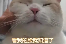 “我才起床……怎么就要上班了？？？”@厦门人，熟读这篇后再返岗，信息量极大图片