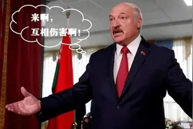 白俄总统亲自下令！米格29迫降过境客机?一举擒获机上的“叛徒”图片