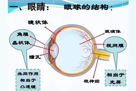 白内障患者的福音，人工晶体降价啦！图片