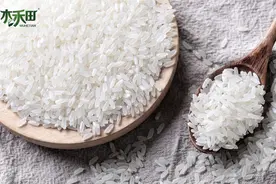 木禾田生态大米品牌：大米代理怎么做？图片